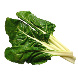 ACELGA X 1KG