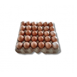 HUEVO EOS COLOR.MAPLE C2 X30U